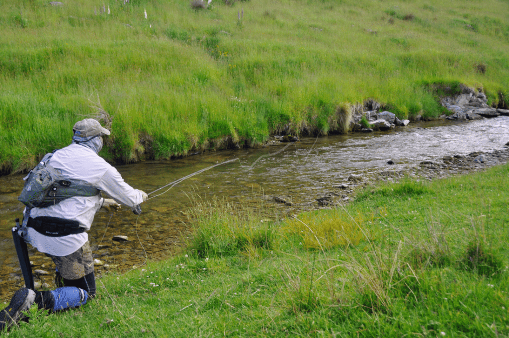 Fly fisherman casting a line on a small New Zealand stream surrounded by green pasture and rolling hills